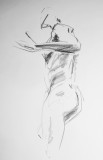 DSC00681-3